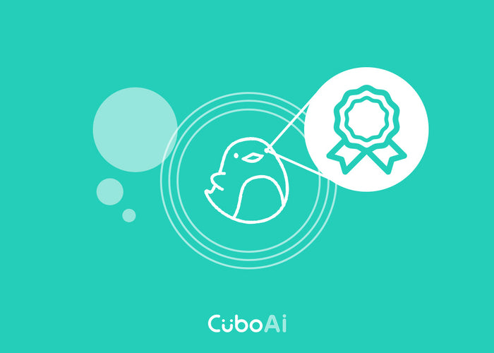 Cubo Ai Awards Won